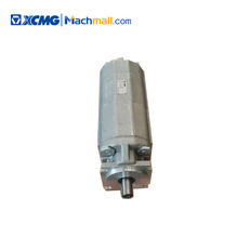 XCMG 803000069 fuel pump for mobile crane